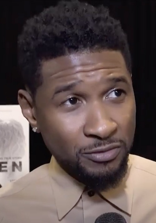 Photo of Usher — Celebrity Evaluator